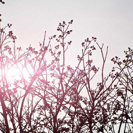 Masa Depan Jaringan 6G dan Potensinya bagi Masyarakat Global